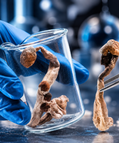 Dose Psilocybin