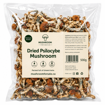 dried packed mushroom