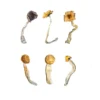 curated premium sampler kit displaying a multi strain selection of dried botanical specimens